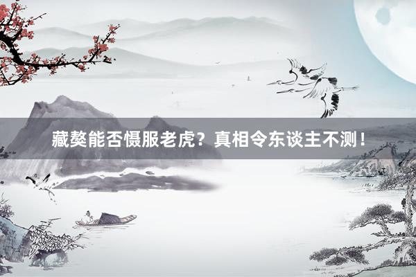 藏獒能否慑服老虎？真相令东谈主不测！